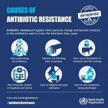Resistensi Antibiotik Pada Makanan